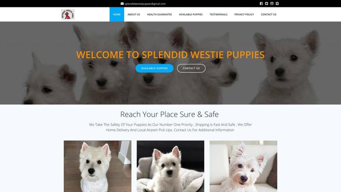 Splendidwestiepuppies.com - Terrier Puppy Scam Review