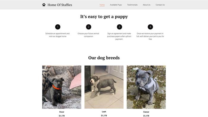 Staffordshirebullterrierr.com - Terrier Puppy Scam Review