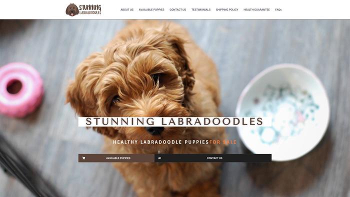 Stunninglabradoodles.com - Labradoodle Puppy Scam Review