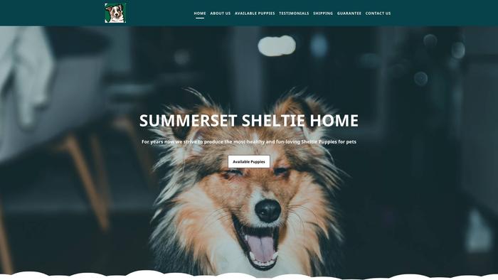 Summersetsheltiehome.com - Australian Shepherd Puppy Scam Review