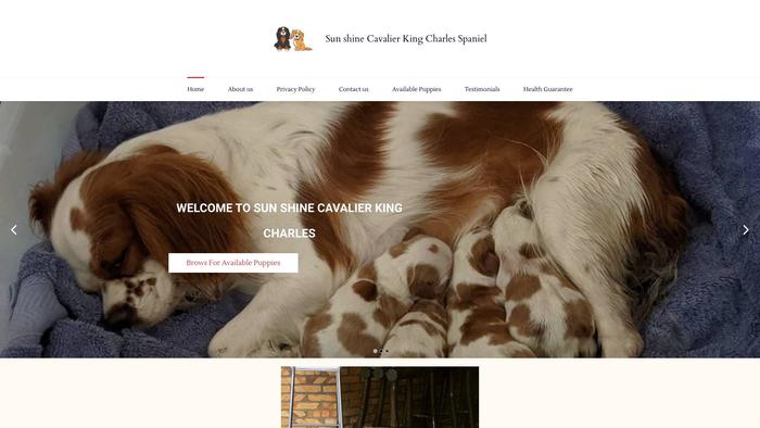 Sunshinecavalierkingcharles.com - Cavalier King Charles Spaniel Puppy Scam Review