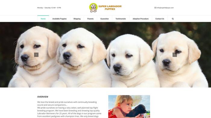 Superlabpups.com - Labrador Puppy Scam Review