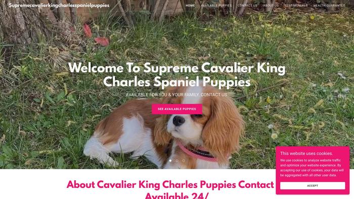 Supremecavalierkingcharlesspanielpuppies.com - Cavalier King Charles Spaniel Puppy Scam Review