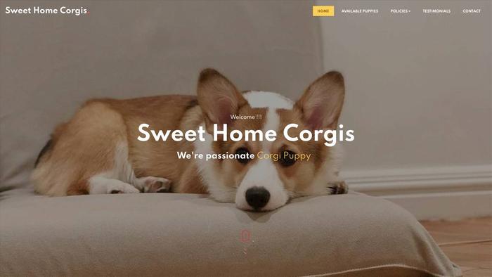 Sweethomecorgis.com - Corgi Puppy Scam Review