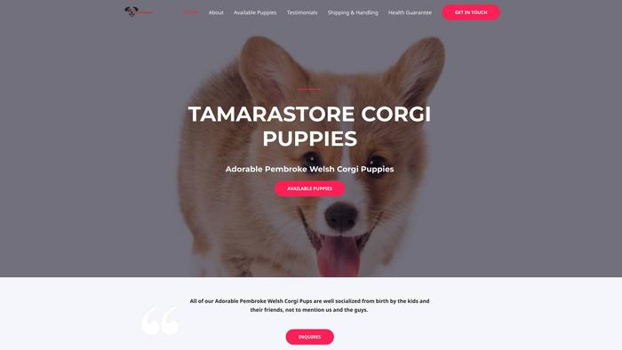 Tamarastorecorgipups.com - Corgi Puppy Scam Review