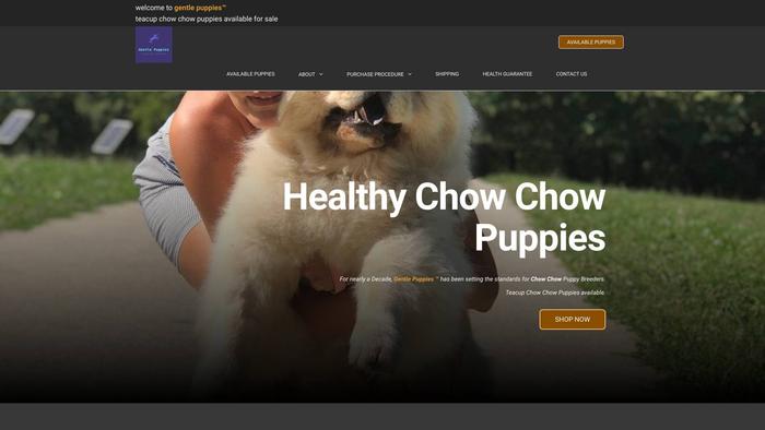 Teacupchowhowpuppiesforhome.com - Chowchow Puppy Scam Review