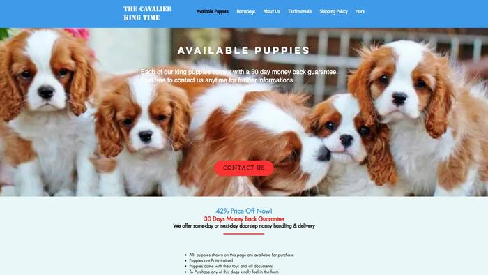 Thecavalierkingtime.com - Cavalier King Charles Spaniel Puppy Scam Review