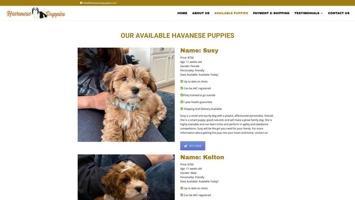 Thehavanesepuppies.com - Havanese Puppy Scam Review