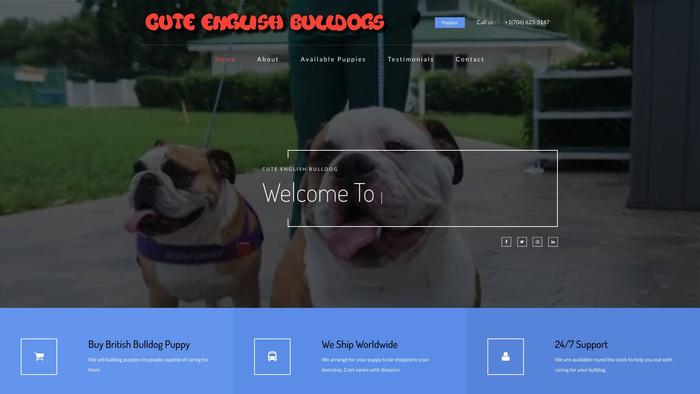 Timsbulldogpuppies.com - English Bulldog Puppy Scam Review