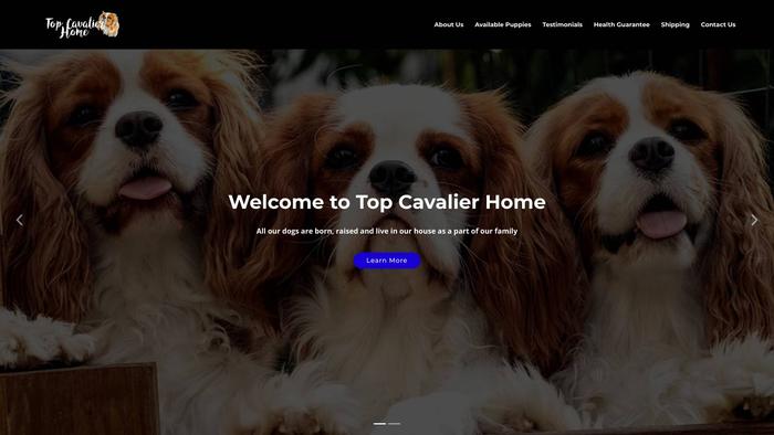 Topcavalierhome.com - Cavalier King Charles Spaniel Puppy Scam Review