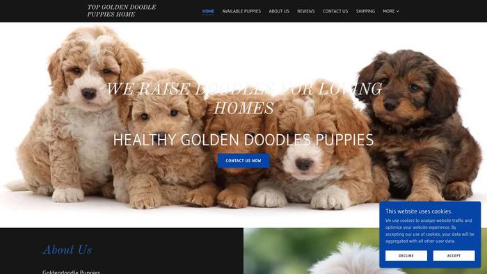 Topgoldendoodlepuppies.com - Golden Doodle Puppy Scam Review