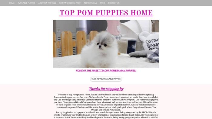 Toppompuppies.com - Pomeranian Puppy Scam Review