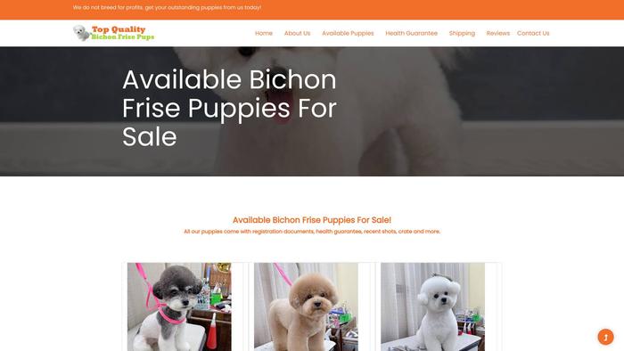 Topqualitybichonfrisepups.com - Bichon Frise Puppy Scam Review