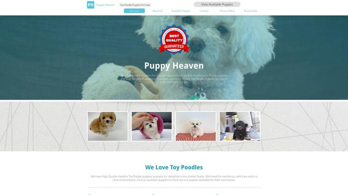 Toypoodlesnear.com - Poodle Puppy Scam Review