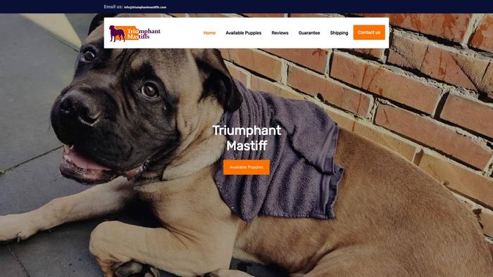 Triumphantmastiffs.com - Tibetan Mastiff Puppy Scam Review