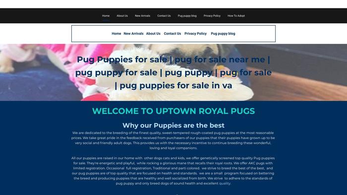 Uptownpugs.com - Pug Puppy Scam Review