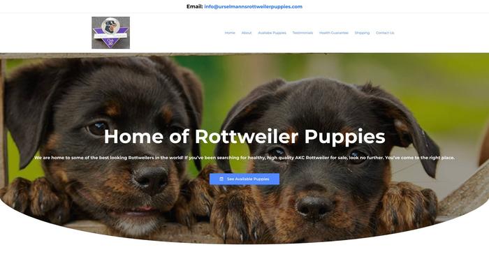 Urselmannsrottweilerpuppies.com - Rottweiler Puppy Scam Review