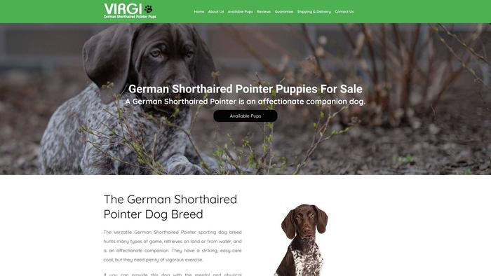 Virgigermanshorthairpointerpups.com - British Shorthair Puppy Scam Review