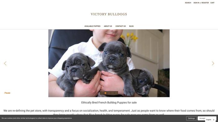 Vitorybulldogs.com - Bulldog Puppy Scam Review