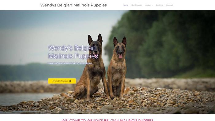 Wendysbelgianmalinoispuppies.com - Germanshepherd Puppy Scam Review