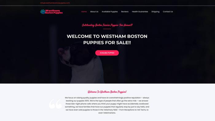 Westhambostonpuppies.com - Boston Terrier Puppy Scam Review