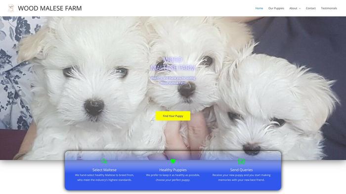 Woodmalfarm.com - Maltese Puppy Scam Review