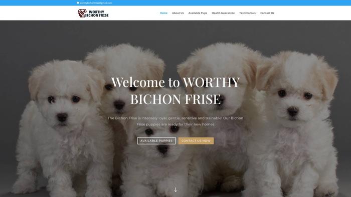 Worthybichonfrise.com - Bichon Frise Puppy Scam Review