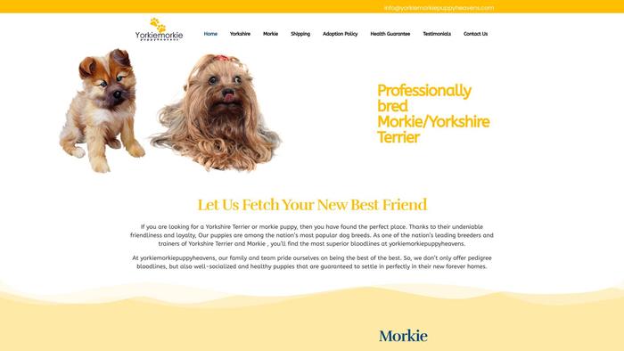 Yorkiemorkiepuppyheavens.com - Yorkshire Terrier Puppy Scam Review