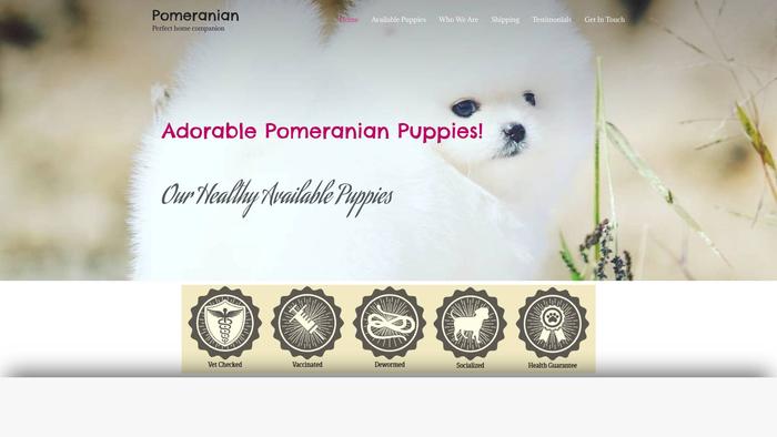 Zpomeranian.com - Pomeranian Puppy Scam Review