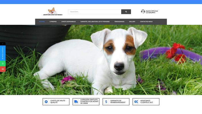 Adoptionchiotdefrance.com - Maltese Puppy Scam Review