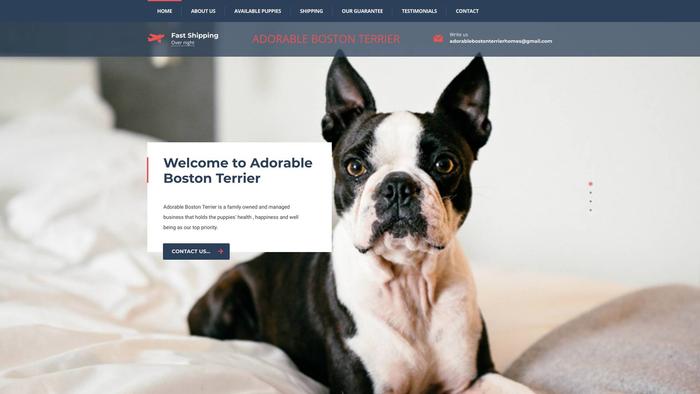 Adorablebostonterrierhome.com - Boston Terrier Puppy Scam Review