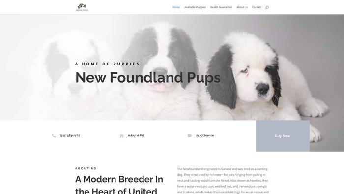 Adorablenewfies.com - Saint Bernard Puppy Scam Review