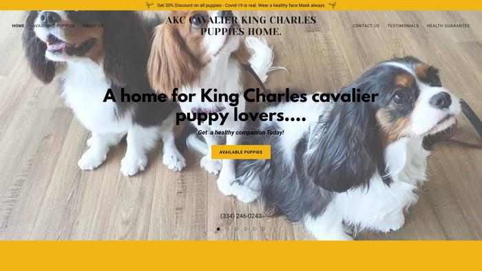 Akckingcharlescavalierpuppies.com - Cavalier King Charles Spaniel Puppy Scam Review