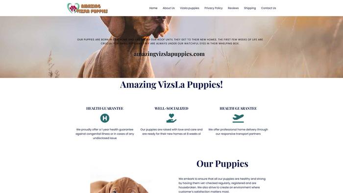 Amazingvizslapuppies.com - Labrador Puppy Scam Review