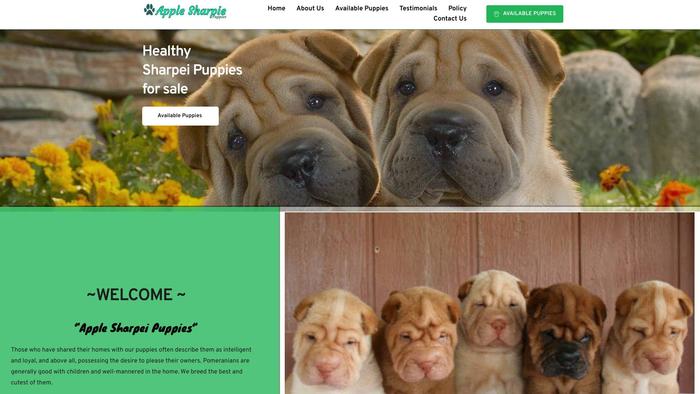 Applesharpiepuppies.com - Sharpei Puppy Scam Review