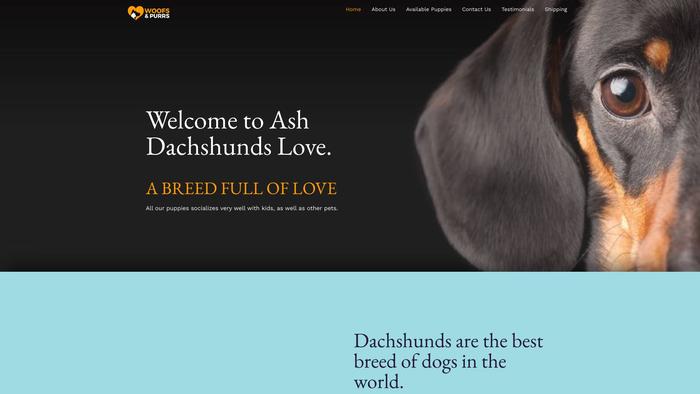 Ashdachshundslove.com - Dachshund Puppy Scam Review