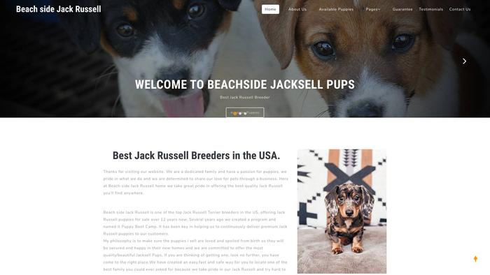 Beachsidejacksellpups.com - Jack Russell Terrier Puppy Scam Review