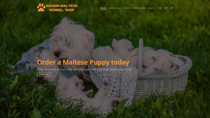 Bichonmaltesekennelshop.com - Bichon Frise Puppy Scam Review