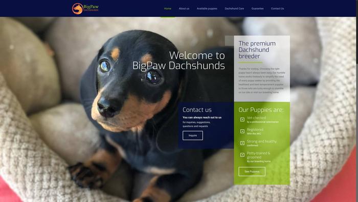 Bigpawdachshunds.com - Dachshund Puppy Scam Review