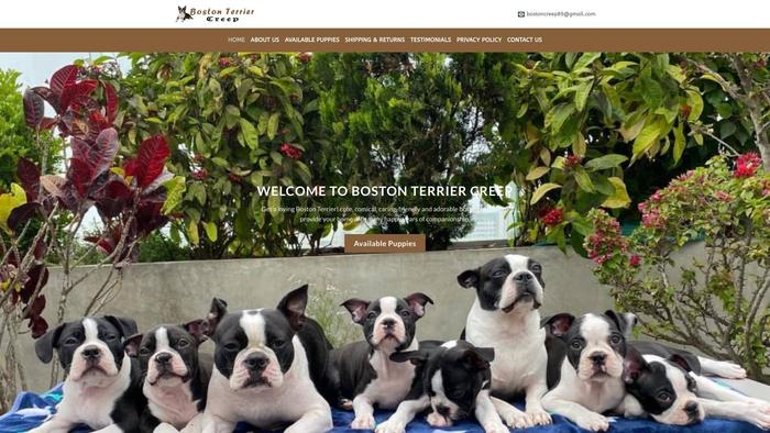 Bostonterriercreep.com - Boston Terrier Puppy Scam Review