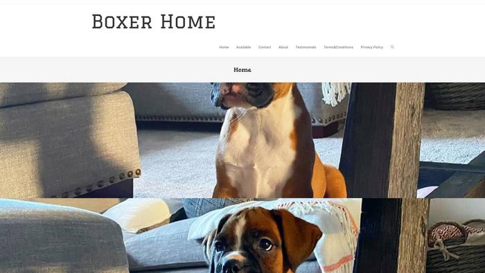 Boxerforme.com - Boxer Puppy Scam Review