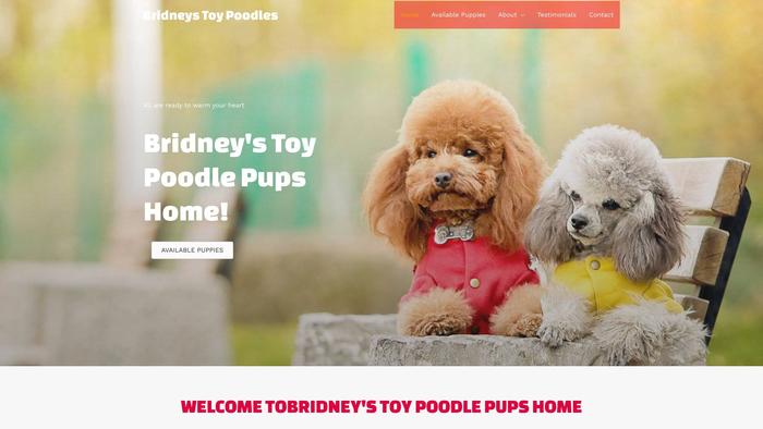 Bridneystoypoodlepupshome.com - Poodle Puppy Scam Review