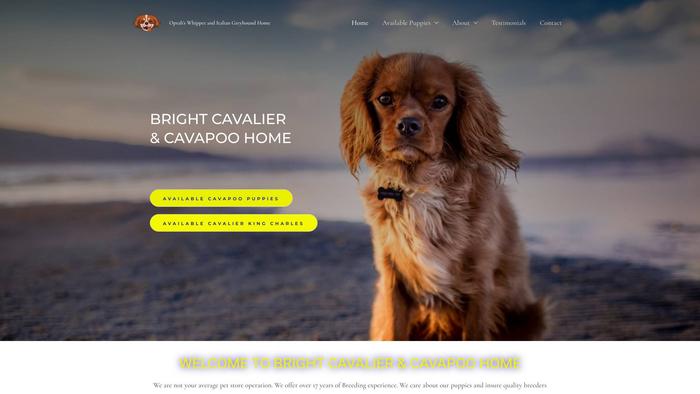 Brightcavalierandcavapoohome.com - Cavalier King Charles Spaniel Puppy Scam Review