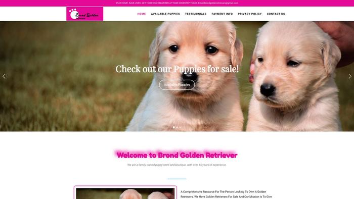 Brondgoldenretrievers.com - Golden Retriever Puppy Scam Review