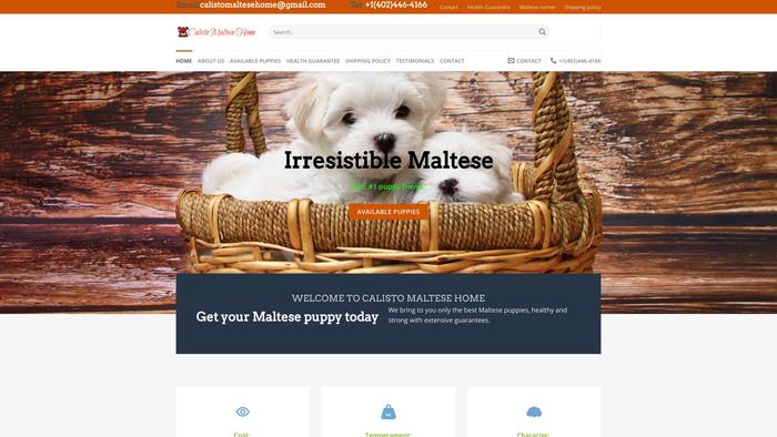 Calistomaltesehome.com - Maltese Puppy Scam Review