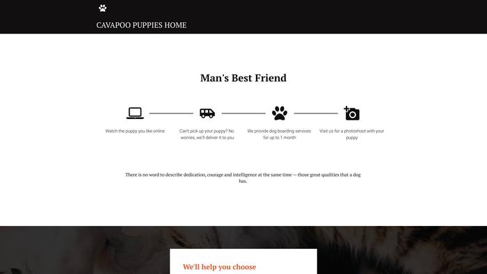 Cavapoopuppies2013.net - Cavapoo Puppy Scam Review