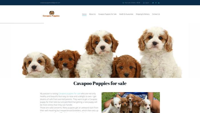 Cavapoopuppybreed.com - Cavapoo Puppy Scam Review