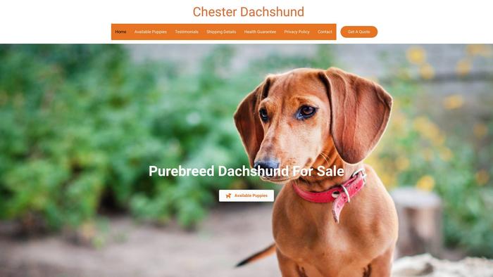 Chesterdachshund.com - Dachshund Puppy Scam Review