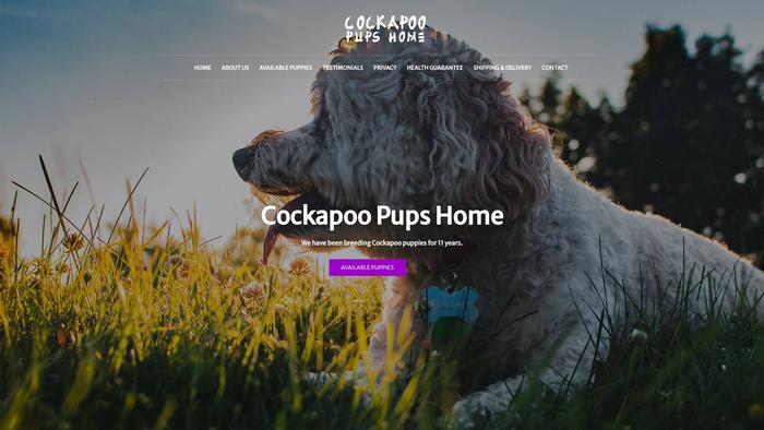 Cockapoopupshome.com - Cockapoo Puppy Scam Review