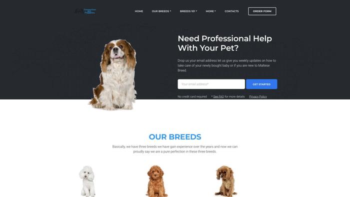 Connection-au-puppies.com - Cavalier King Charles Spaniel Puppy Scam Review